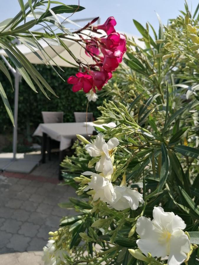 Kertesz Vendeghaz Hotel Eger Buitenkant foto